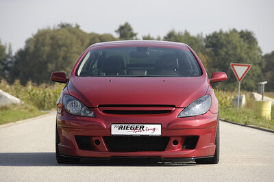 Rieger Tuning voorbumper Peugeot 307