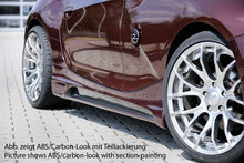 Rieger Tuning sideskirt BMW Z4 E85